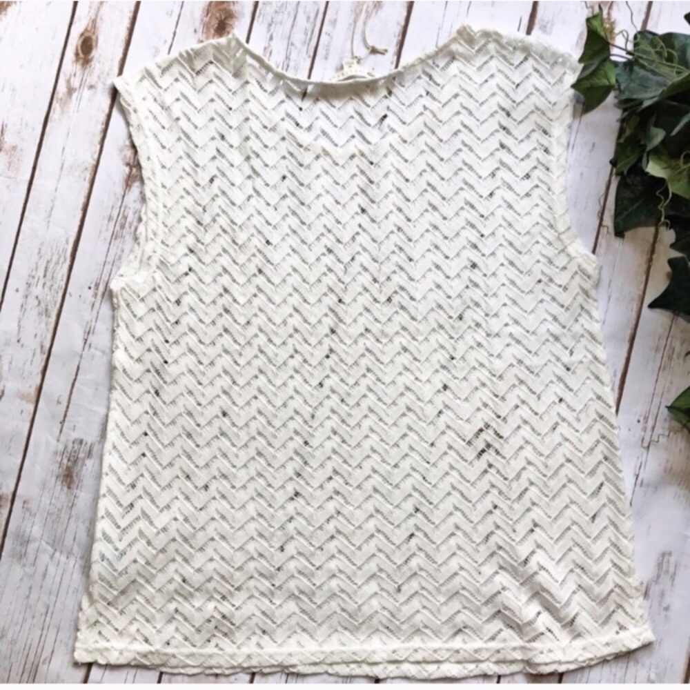 Relished Cream Off White Sheer Lace tee cover up - Picture 2 of 8